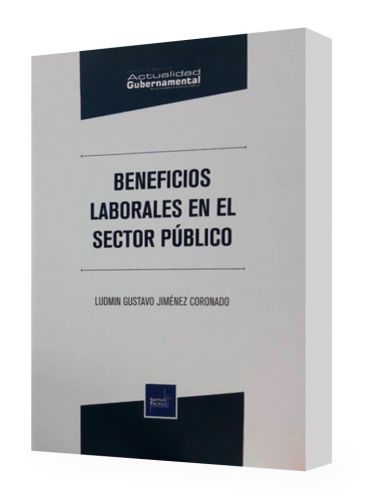 BENEFICIOS LABORALES EN EL SECTOR PÚBLI..